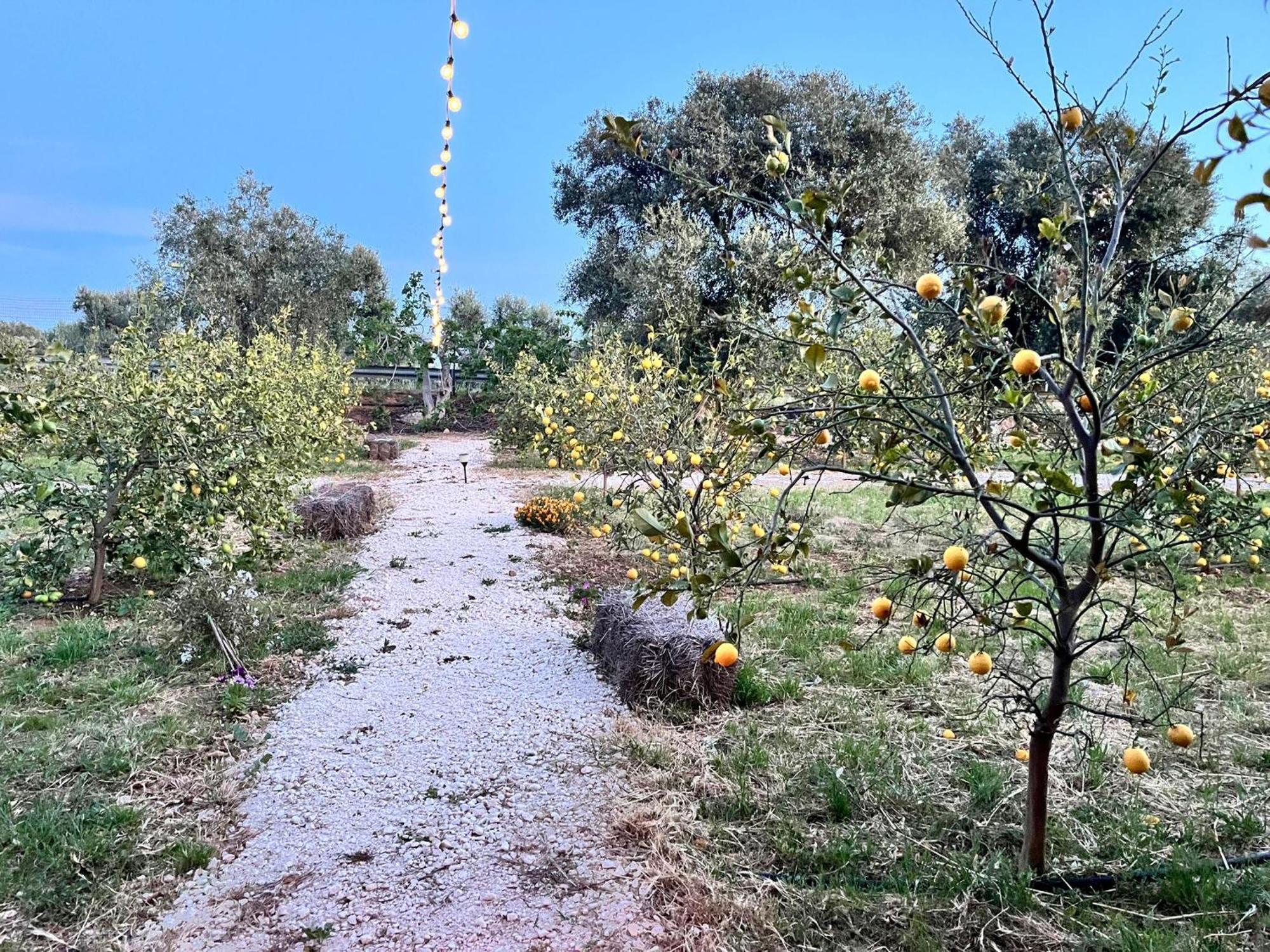 Don Peppe B&B Monopoli Dış mekan fotoğraf